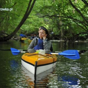 Drawa sp艂yw jednodniowy