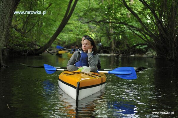 Drawa spływ jednodniowy